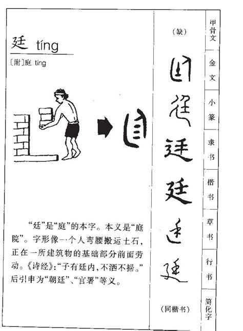 廷 名字 意思|“廷”字有什么意思